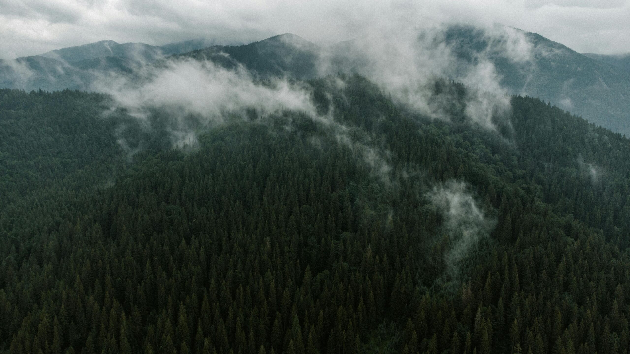 Štirovača: The Forgotten Forest Valley of Velebit