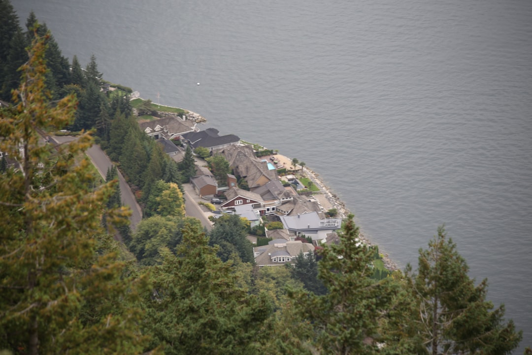 Dragonja village harbor fishing boats pine trees