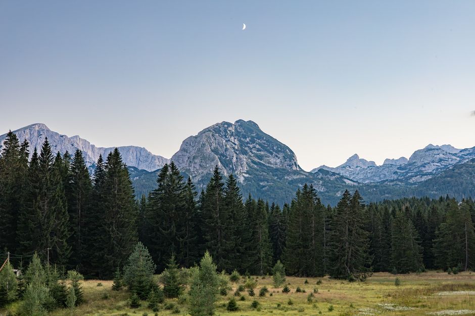 Durmitor National Park Montenegro hiking trail granite peaks forest path