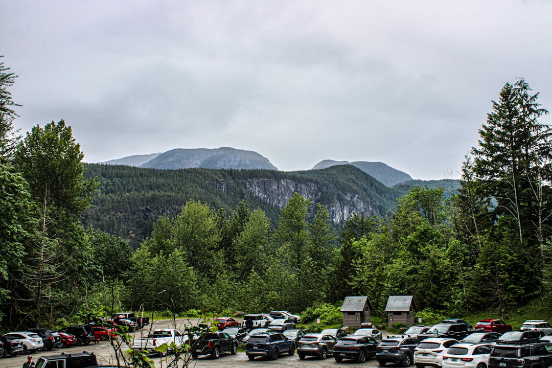 Fruška Gora National Park trailhead parking area morning mist