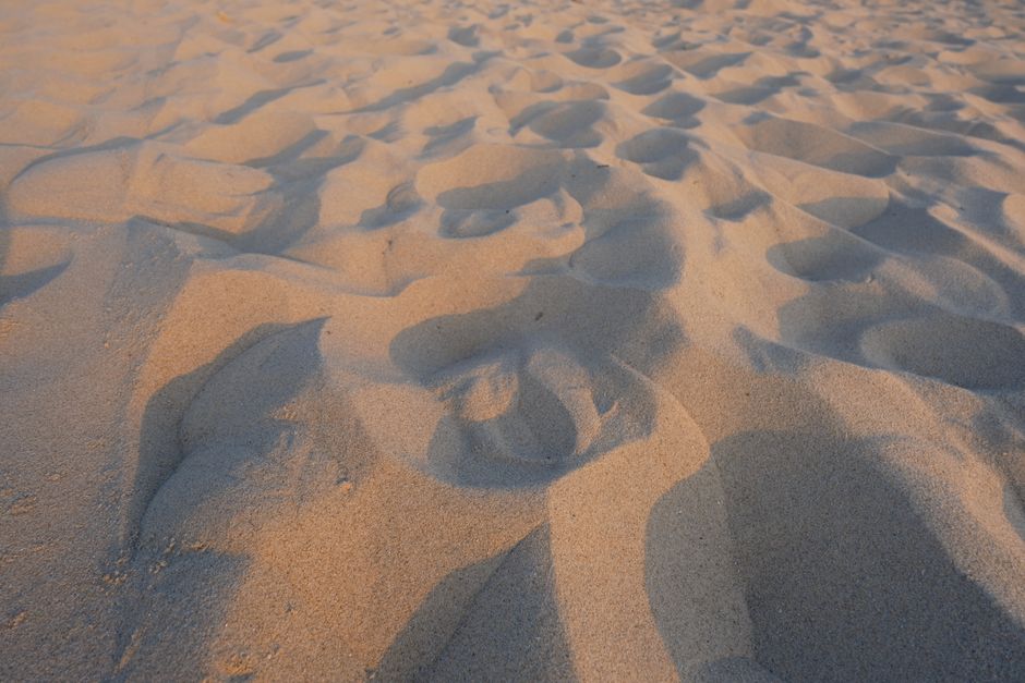 Potami Beach Samos golden sand pine dunes Aegean sea sunset