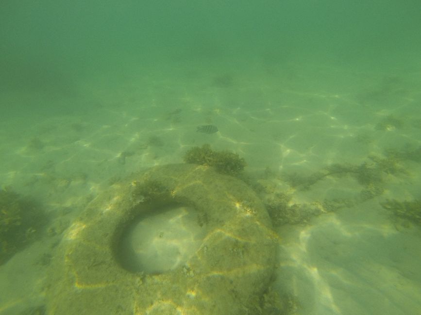 Underwater Sculpture Park Varna concrete pyramid algae marine life