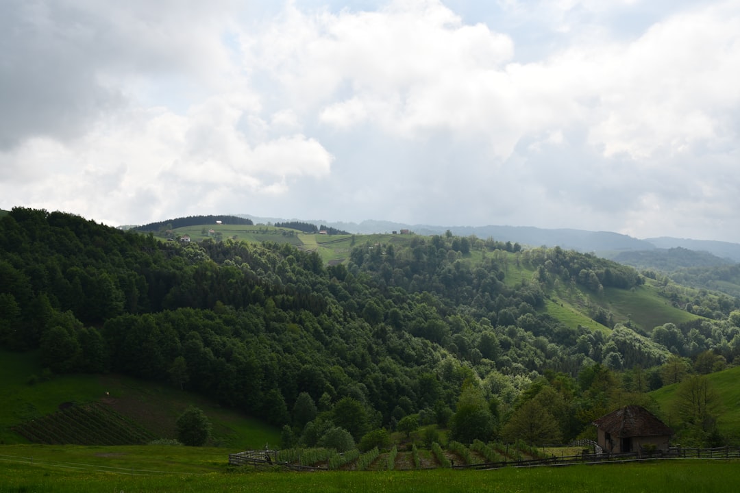 Tara River Canyon: The Brutal Beauty of the Serb-Montenegrin Border