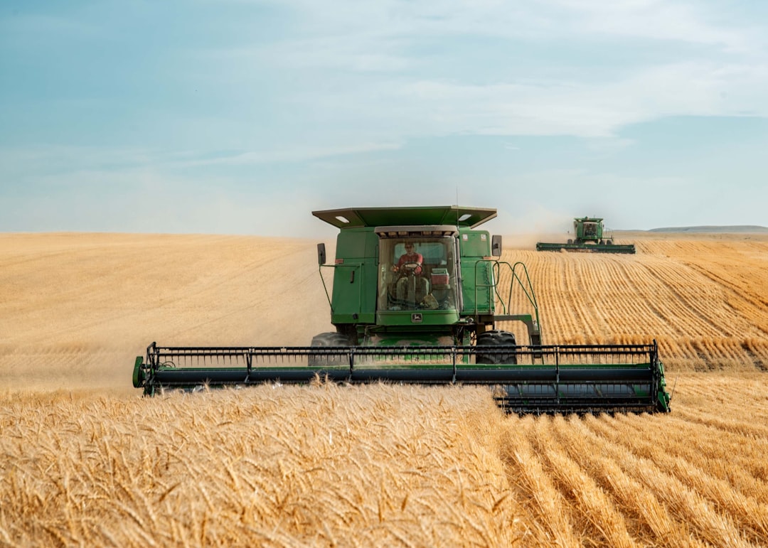 Serbian agricultural tractor harvesting wheat field