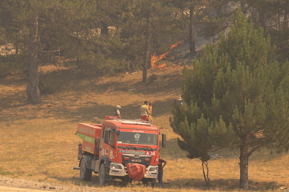 Firefighters battling wildfire in Izmir forest