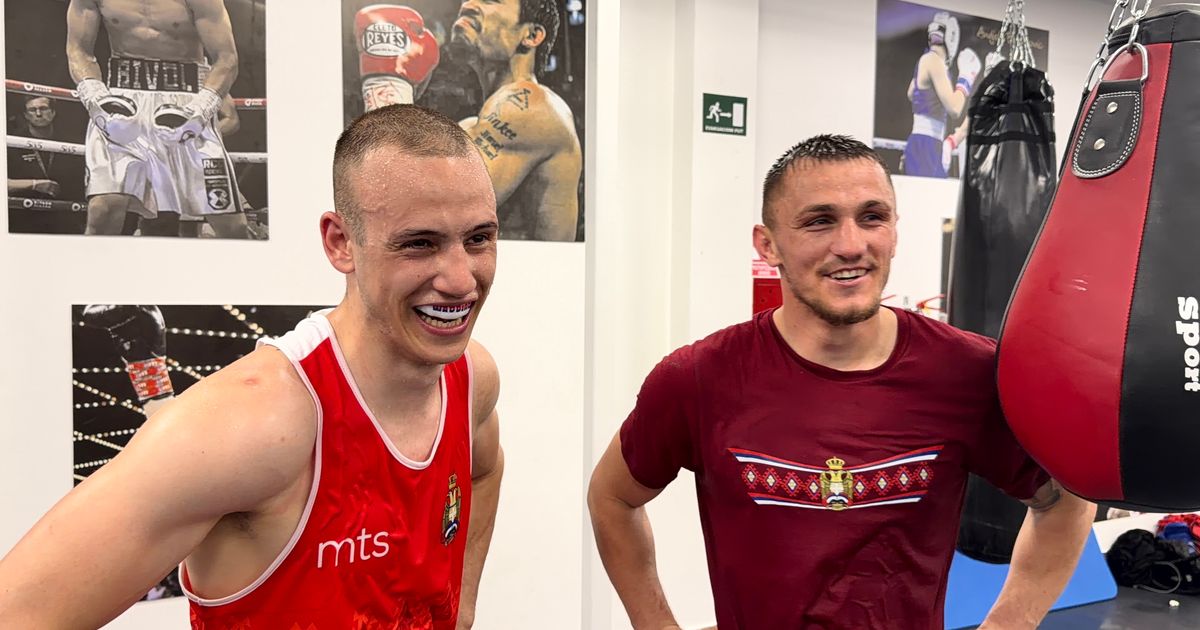 Serbia's Boxing Showdown: Memić and Nikolić Set for Another Ring Battle