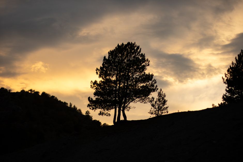 Anzac Cove Gallipoli Turkey beach pine trees memorial sunset
