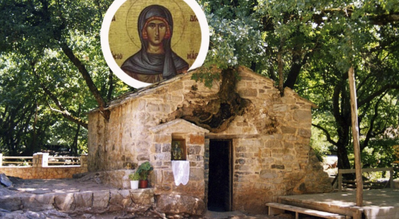 Miracle in Greece: 17 Trees Grow Directly From the Roof of a 12th-Century Church