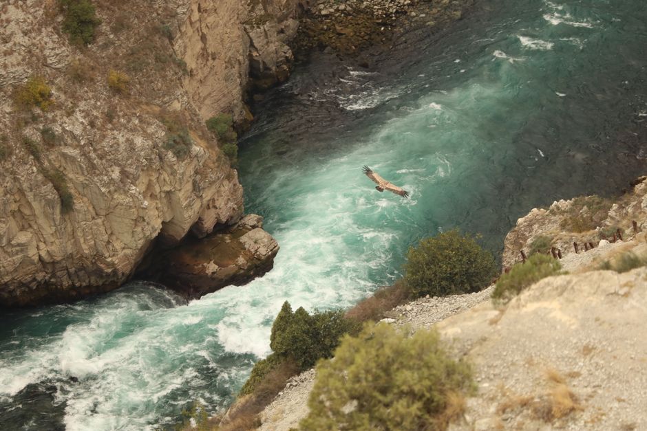 Tara River Canyon steep limestone cliffs emerald water eagle soaring above