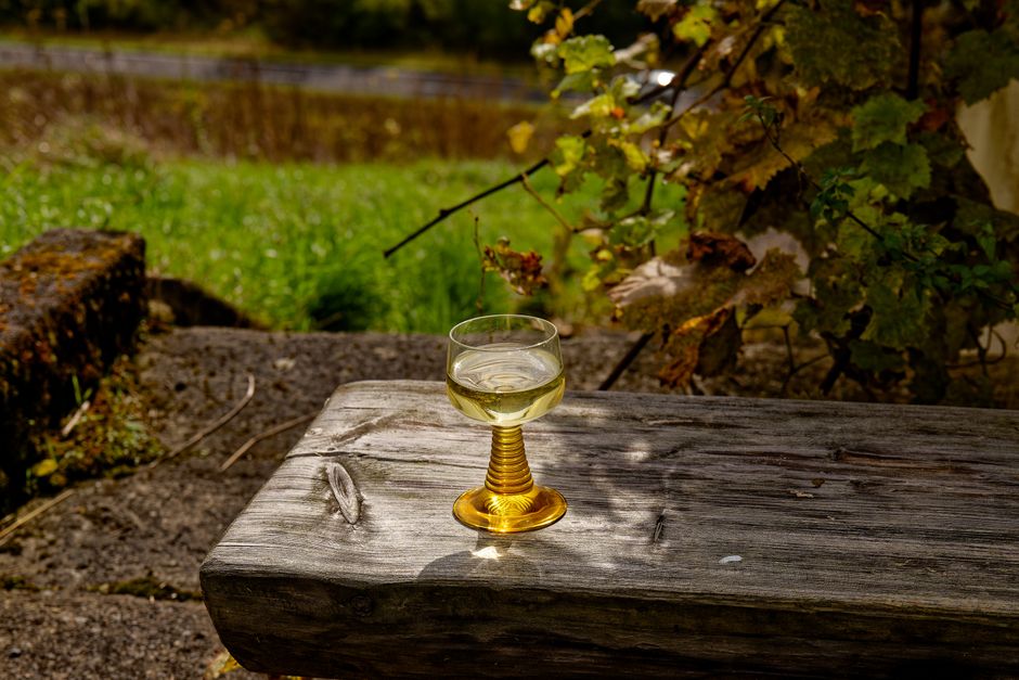 Stara Pazova vineyards Fruška Gora Serbia white wine tasting