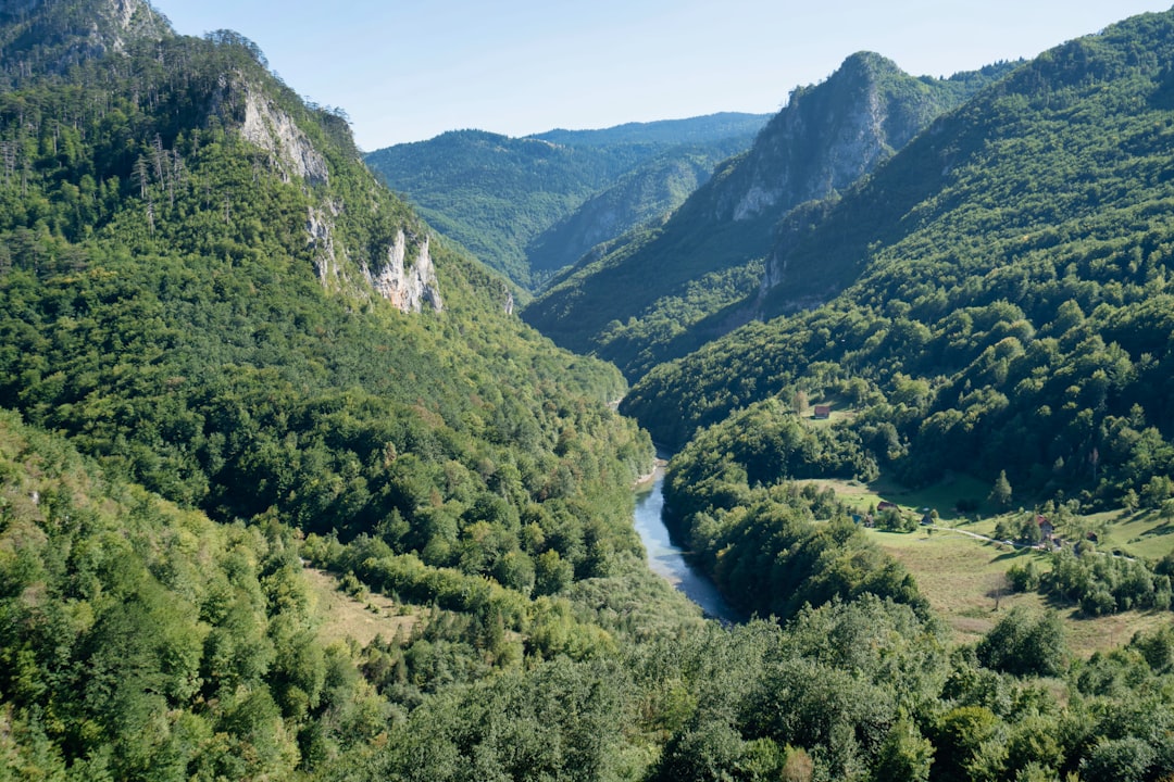 Tara River Canyon Montenegro deep gorge river view cliff edge