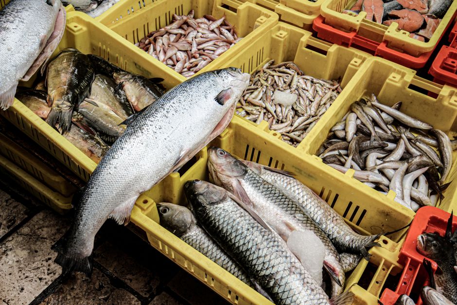 Split market fresh seafood local produce Dalmatia