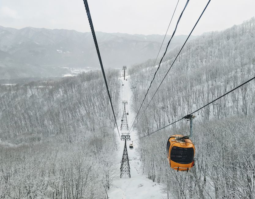 Pavlovac ski resort base Kopaonik gondola winter forest view