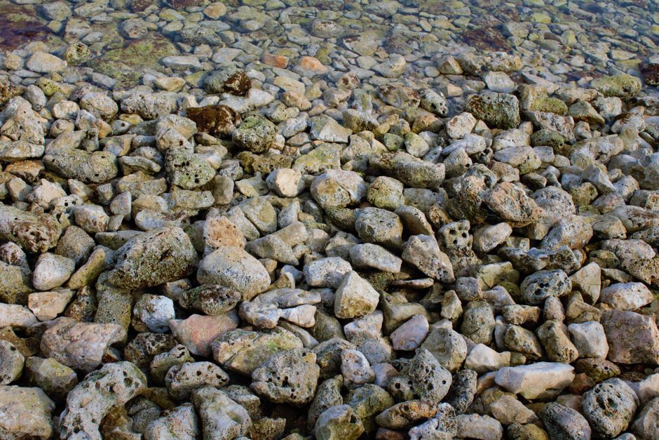 jagged limestone rocks Viganj Beach Korcula Croatia Adriatic waves