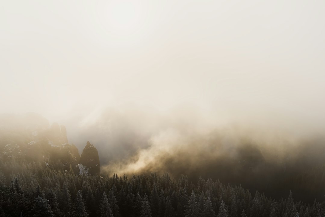 Carpathian Mountains Romania rugged peak mist forest trail