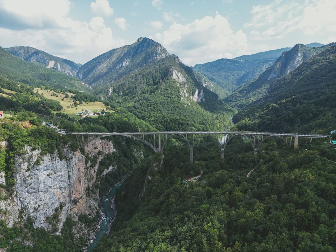 Tara River suspension bridge Perućica Montenegro forest background