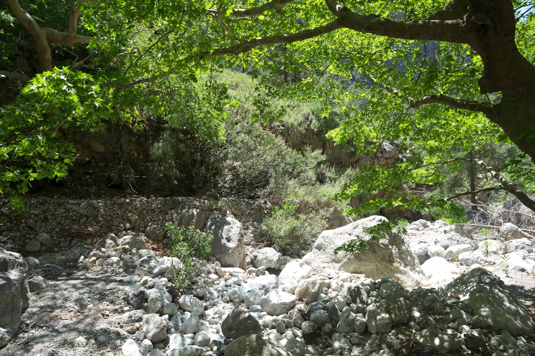 Samaria Gorge Narrow Gates Vyzokomiata metal stairs limestone walls Crete