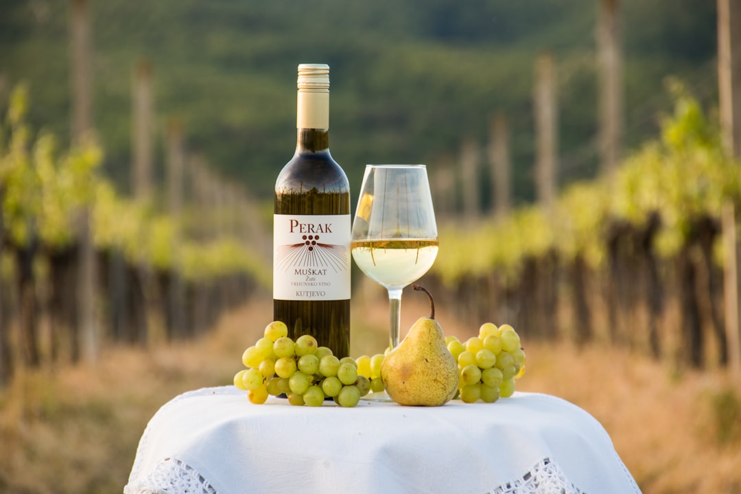 Fruška Gora local white wine Graševina glass vineyard background