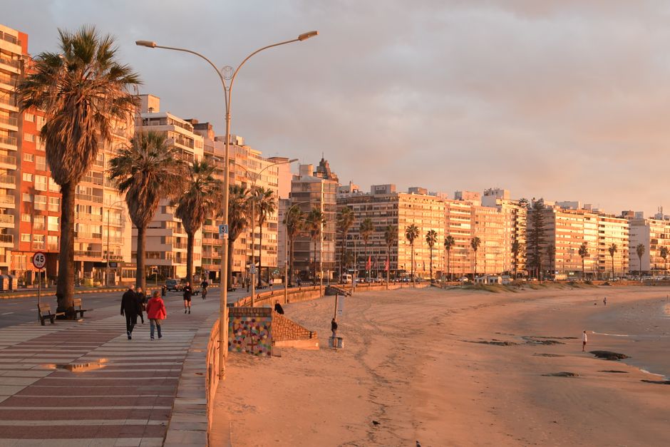 Golden Sands Bulgaria boardwalk concrete promenade palm trees sunset