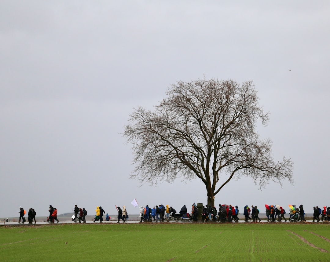Germany national football team training session