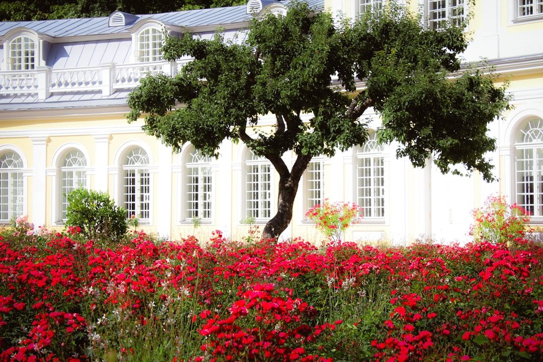 Kazanlak Rose Museum exterior building rose garden facade