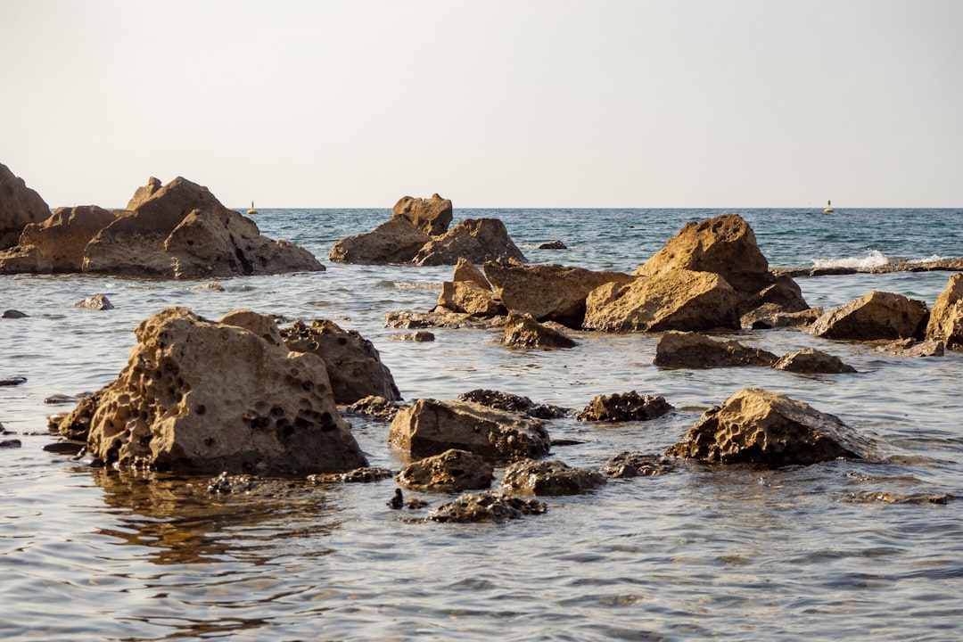 Crabs, Mussels, and the Wild Coast: Foraging Seafood on the Rocky Shores of Piran, Slovenia