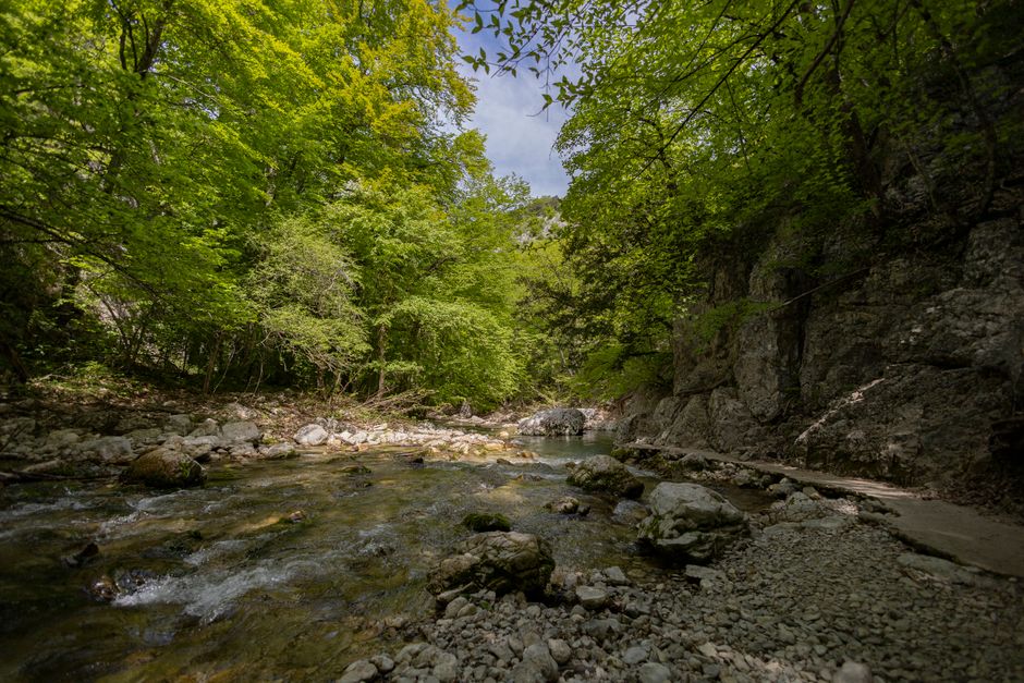 Studenica River Serbia crystal clear water forest bank sunlight