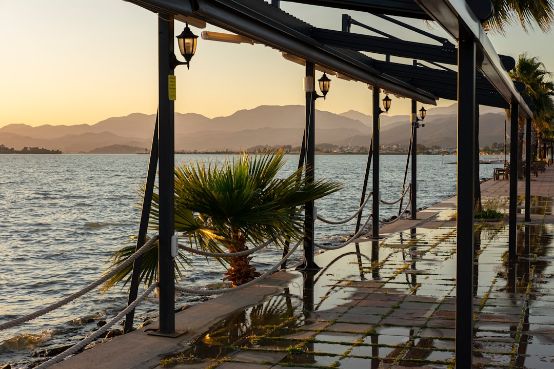 Dejca Beach Ohrid nightlife bars outdoor terrace lake view evening
