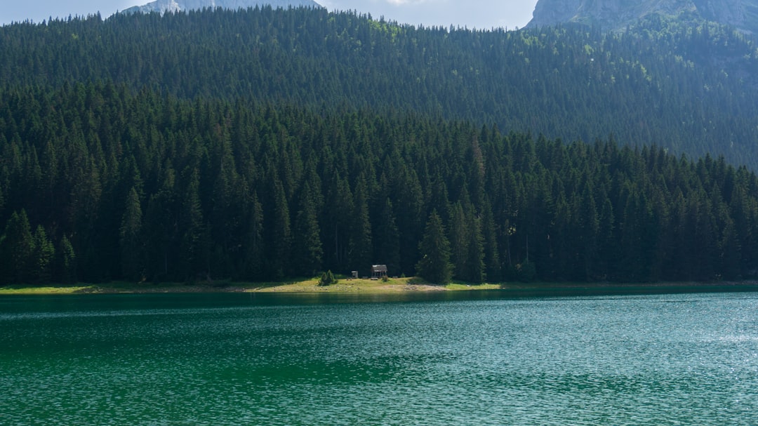 Trekking the Via Dinarica Black Mountain Section: A Guide to Montenegro's Wild Spine