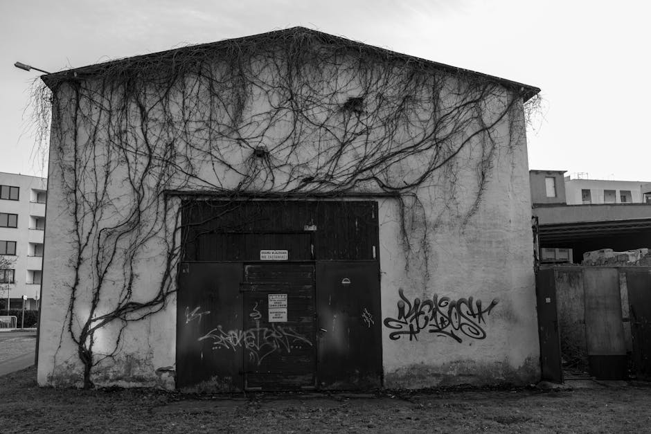 Plovdiv Kapana district street art warehouse graffiti evening
