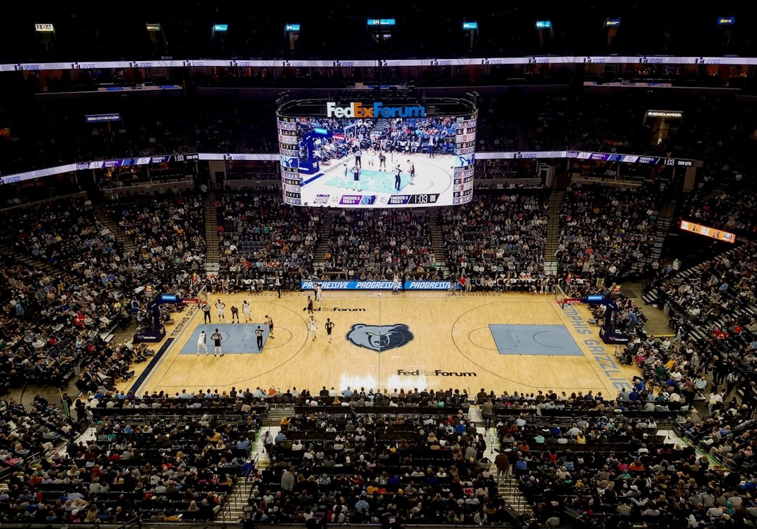 Balkan fans watching NBA game on big screen
