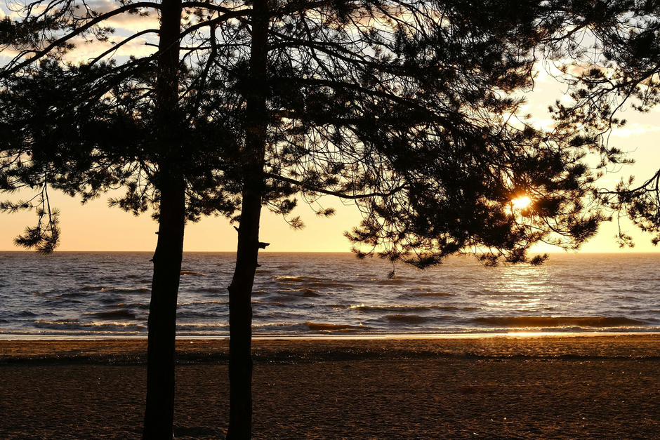 Eresos Beach Lesvos golden sand pine trees Aegean sea sunset
