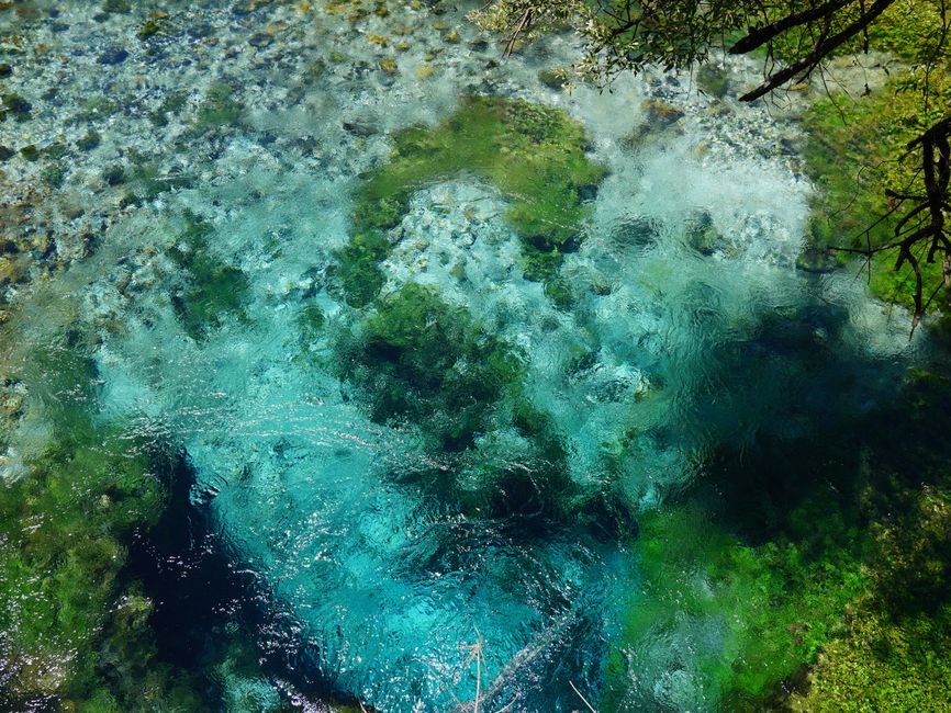 Blue Eye Spring Albania deep blue water natural wonder forest