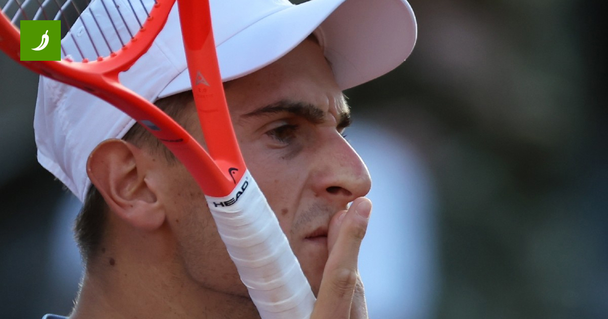 Shock at Roland Garros: Arnaldi Withdraws, Cobolli Heads to Final