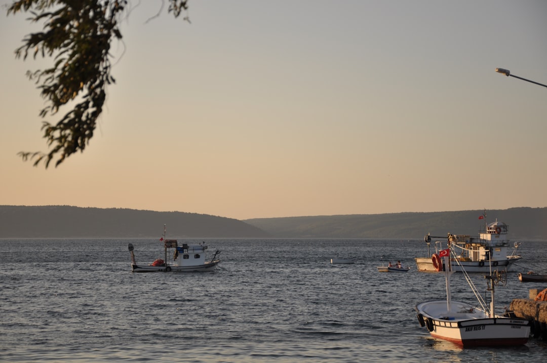 Canakkale waterfront restaurant Turkey fresh fish dinner sunset