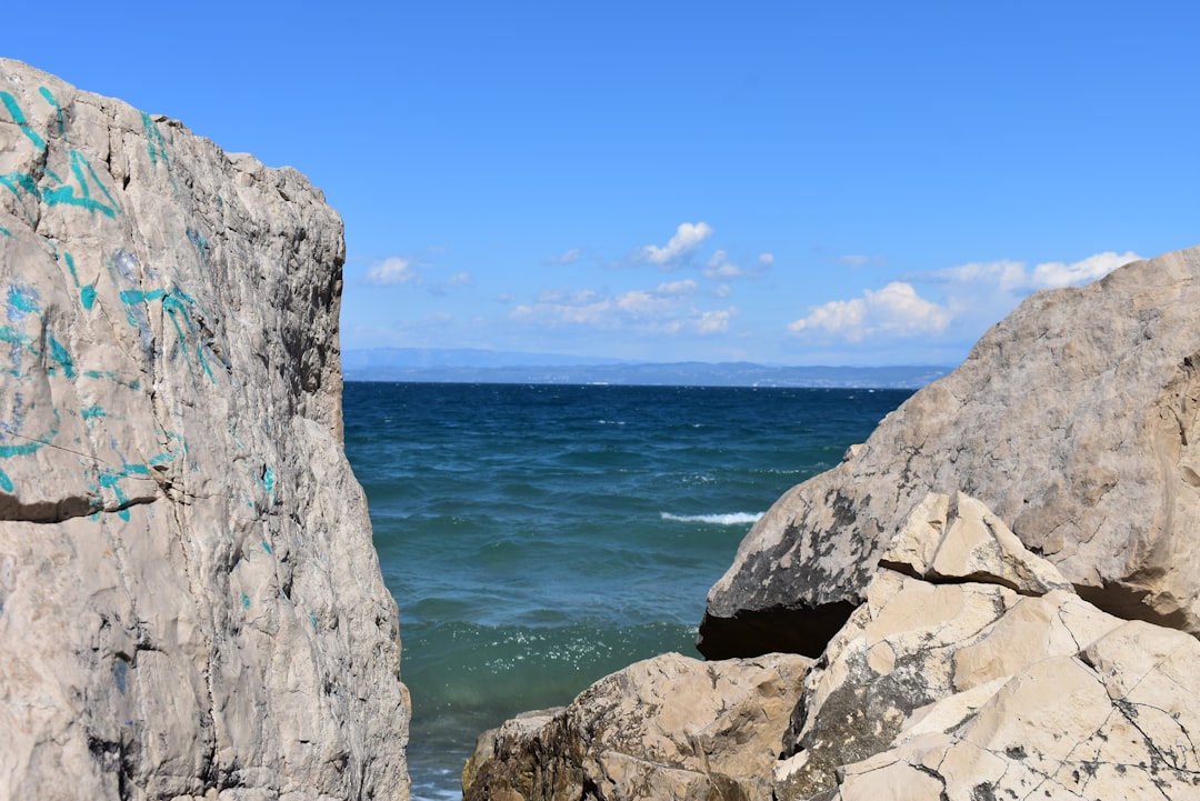 Mussels clinging to rocky shore Piran Slovenia low tide