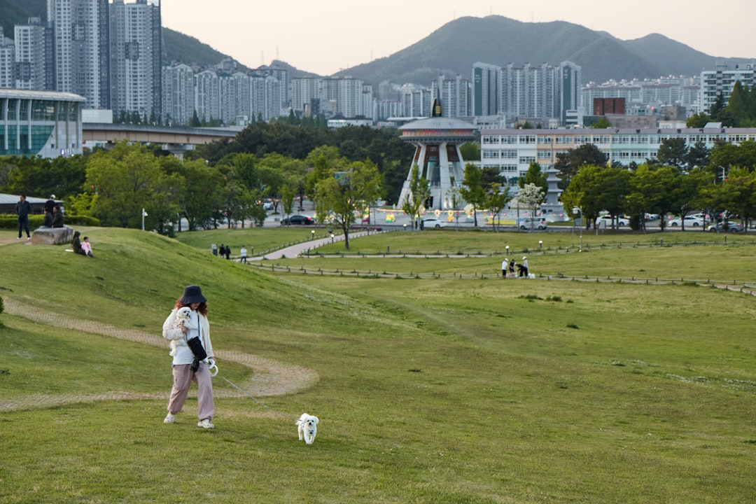 South Korea national football team training session