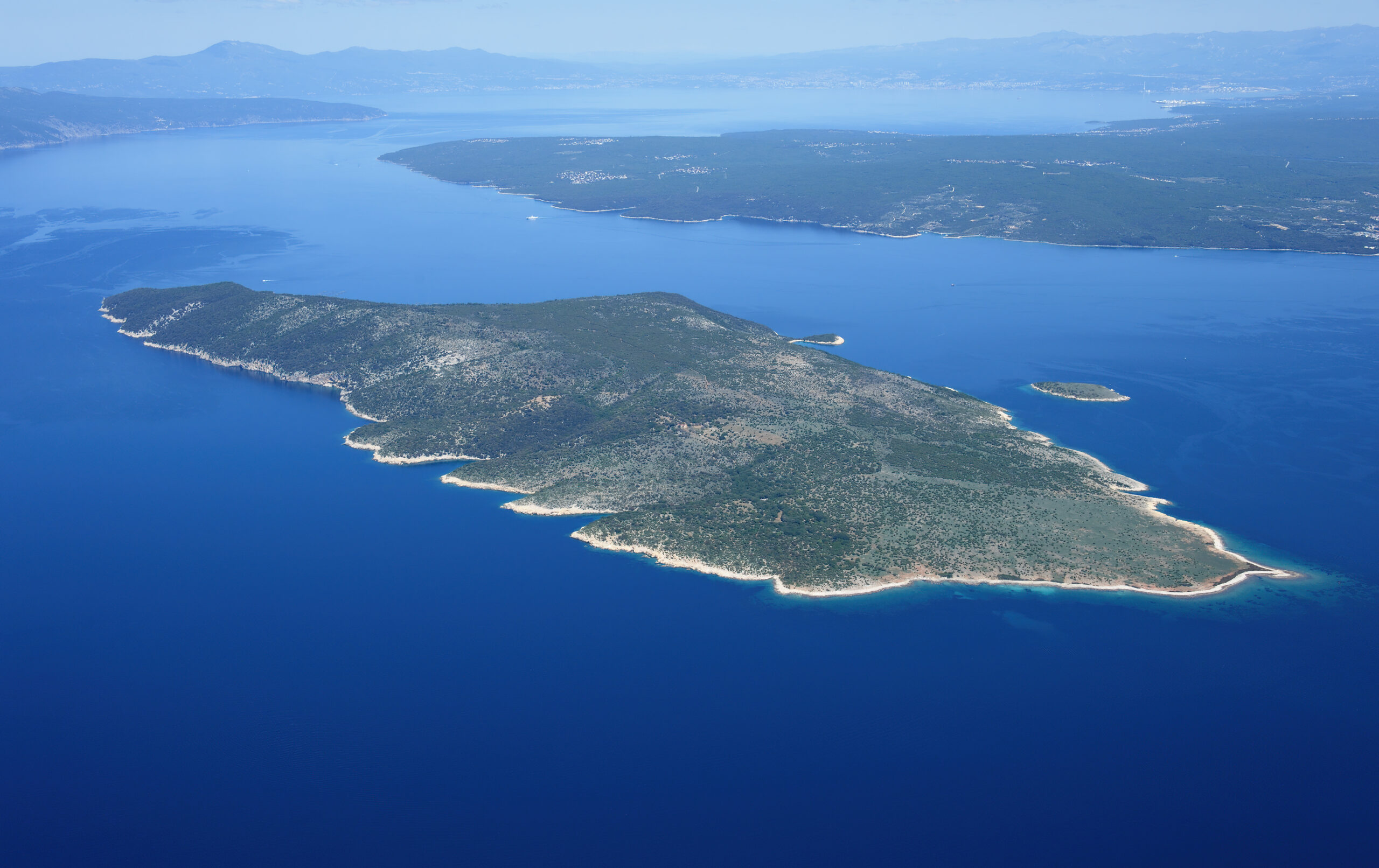 Plavnik: Croatia's Wild, Uninhabited Island of Vultures and Blue Caves