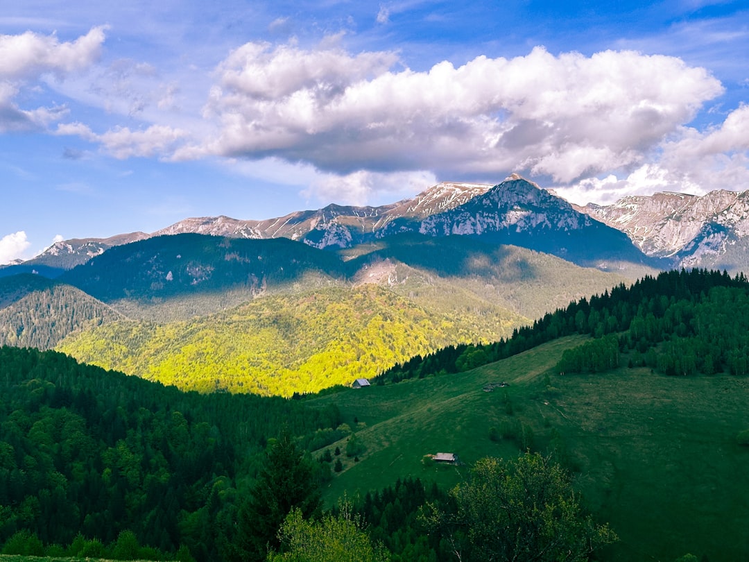 Chasing Ghosts in the Retezat: A Wolf Watcher's Guide to Romania's Wild Heart