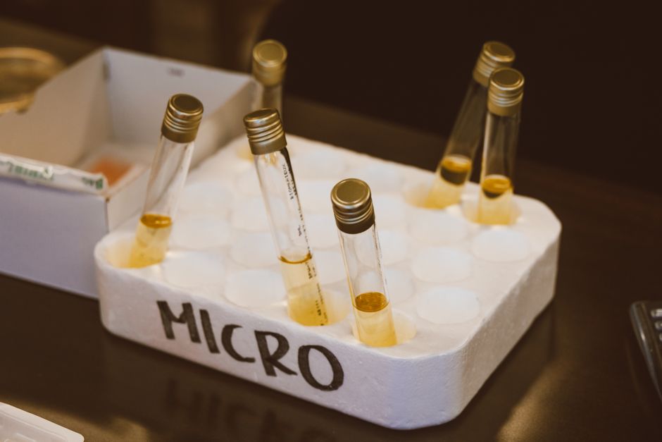 Peleș Hot Springs Romania mineral water chemical analysis lab test