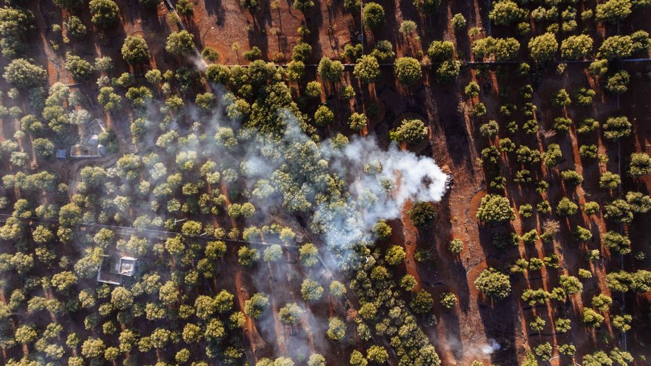 Aerial view of smoke plumes over Izmir coastline