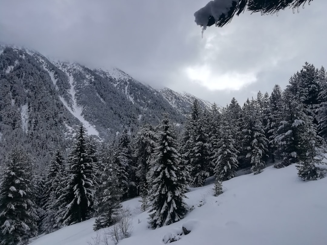 Pirin National Park Bulgaria winter landscape snow covered peaks