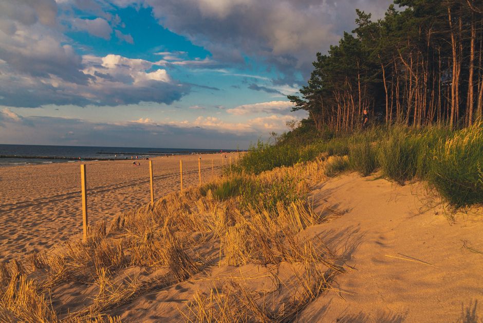 Sunny Beach Bulgaria southern dunes sunset pine forest wild beach
