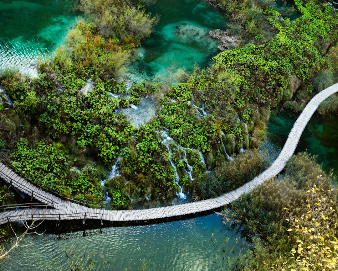Plitvice Lakes wooden boardwalk trail forest canopy Croatia