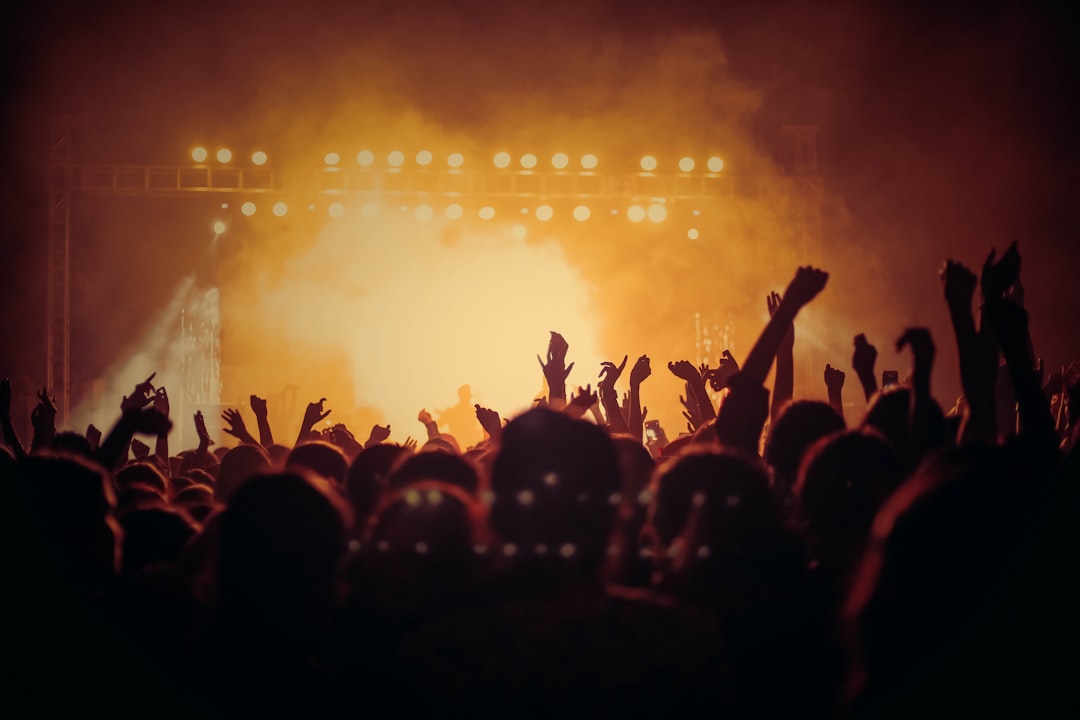 Balkan music festival crowd night concert