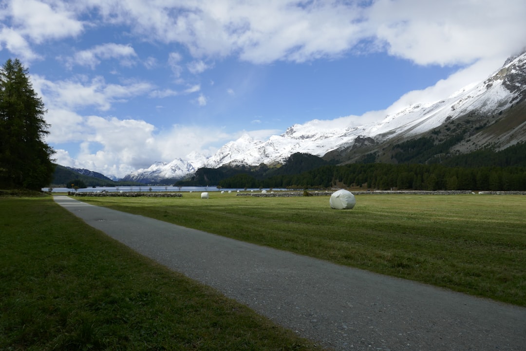 Switzerland national football team training session