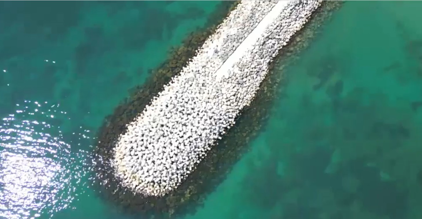 Black Sea’s Caribbean Colors: Algae Bloom Explained