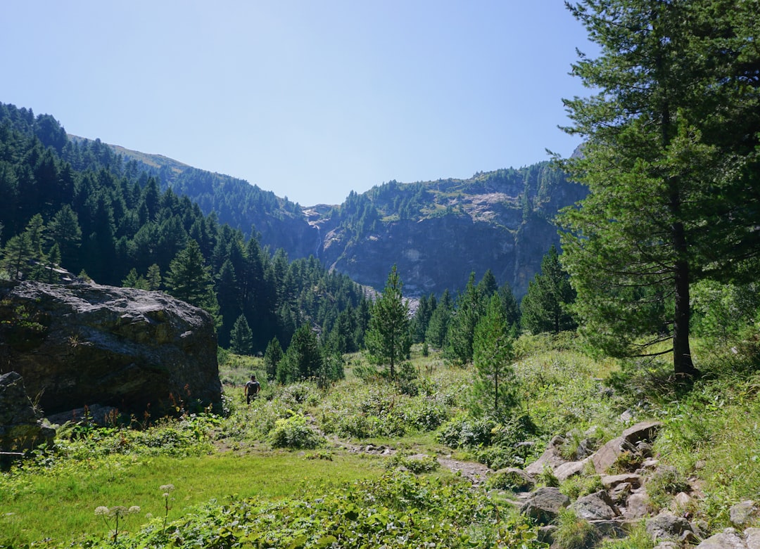 Rila Mountains Bulgaria hiking trail pine forest steep ascent