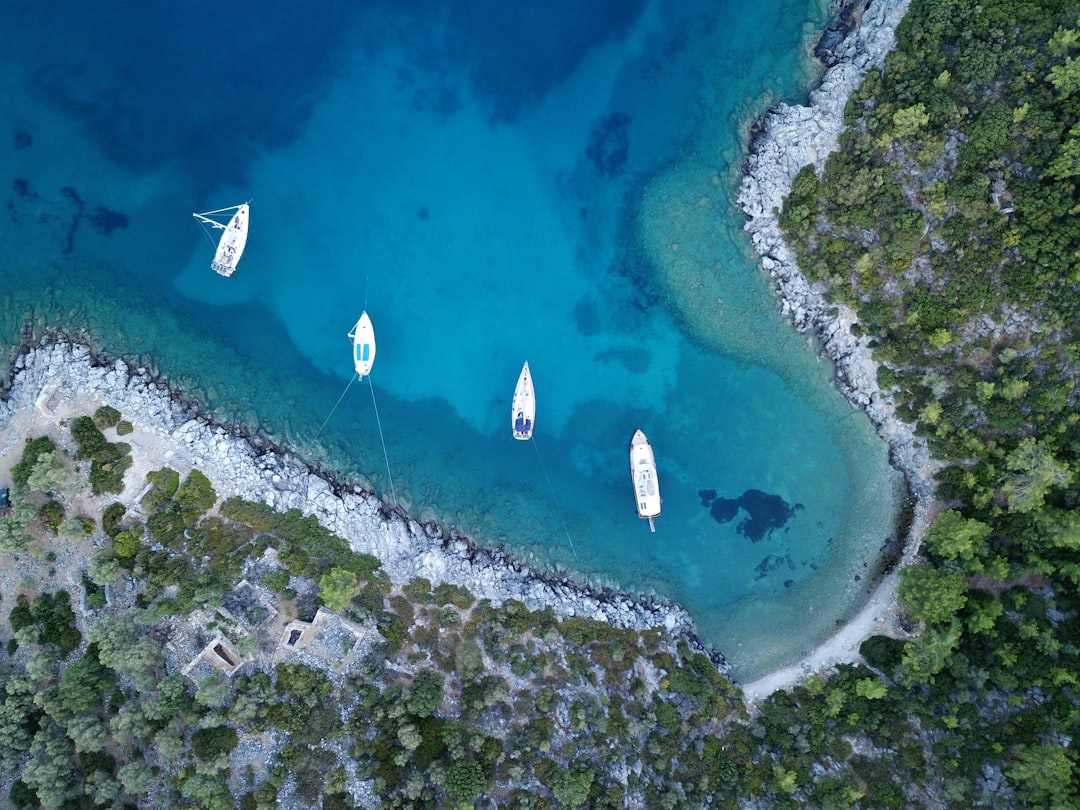 Gündoğdu Beach Bodrum Turkey secluded cove pine trees clear water