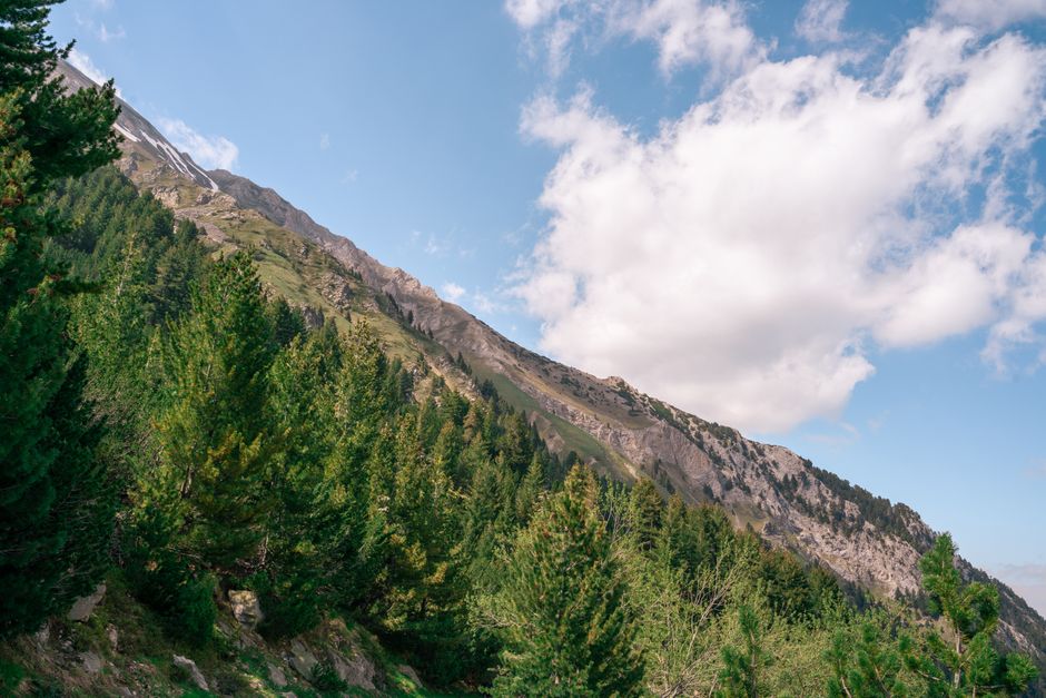 Rila Mountains Bulgaria trail pine forest red marker boulders